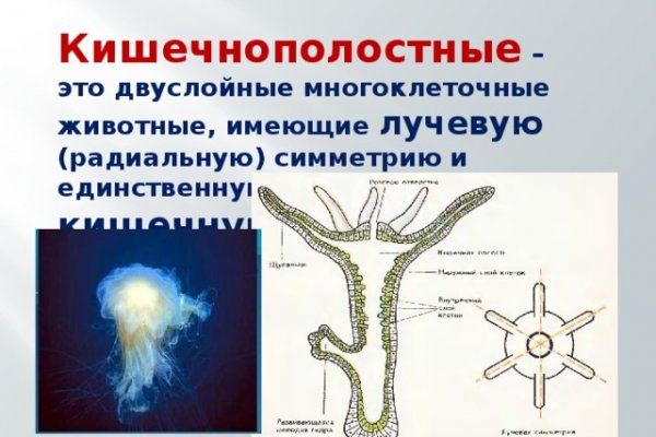 Что с кракеном сайт