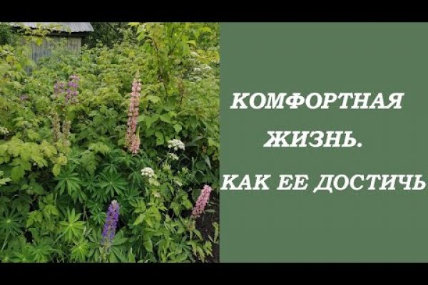 Пополнить кошелек кракен